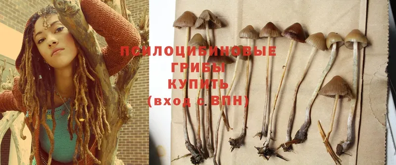 Галлюциногенные грибы Magic Shrooms  Приморско-Ахтарск 